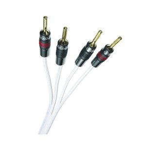 Silver Anniversary XT by QED