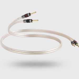 XT 40 Cable by QED