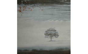 Genesis - Wind & Wuthering (Deluxe Edition)