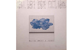 Blood Sweat And Tears 4