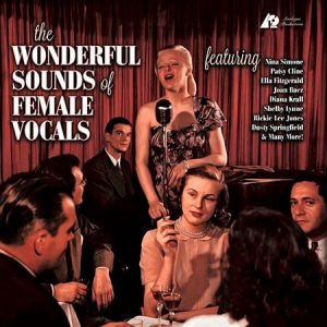 Various Artists - The Wonderful Sounds of Female Vocals (2 LP)
