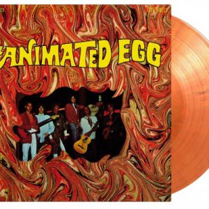 THE ANIMATED EGG - THE ANIMATED EGG (Orange Marbled Vinyl)