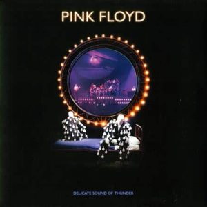 Pink Floyd - Delicate Sound Of Thunder  (Remixed and Remastered Edition + Book)