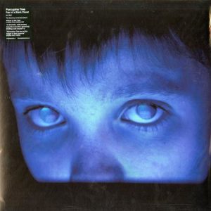 Porcupine Tree - Fear Of A Blank Planet (2 LP)