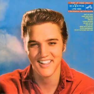Elvis Presley - For LP Fans Only (Speakers Corner)