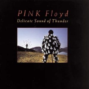 PINK FLOYD - DELICATE SOUND OF THUNDER (CD)