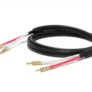 Oyaide Across 3000 SGB Speaker Cable (3.0 MTR)